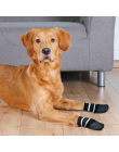 Trixie Hundesocken, Anti-Rutsch mit Rundum-Gummierung, XS–S, 2 St., schwarz
