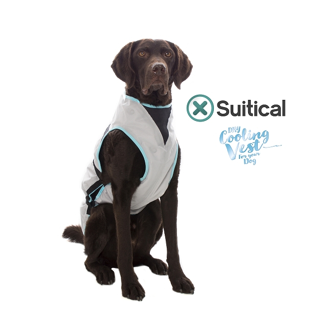Suitical Kühlweste für Hunde - DRY cooling Vest