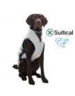Suitical Kühlweste für Hunde - DRY cooling Vest