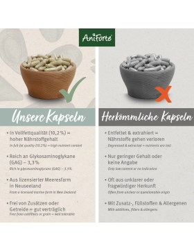 AniForte® Grünlippmuschel Kapseln - 100 Stk.