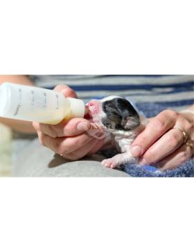 Trovet Puppy Milk Hund / PMR 400g