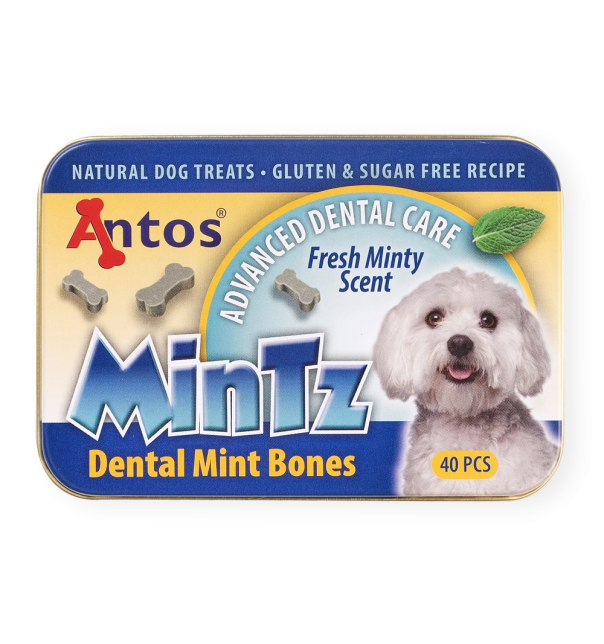 Antos neuMinTz Dental Mint Bones 40 Stück