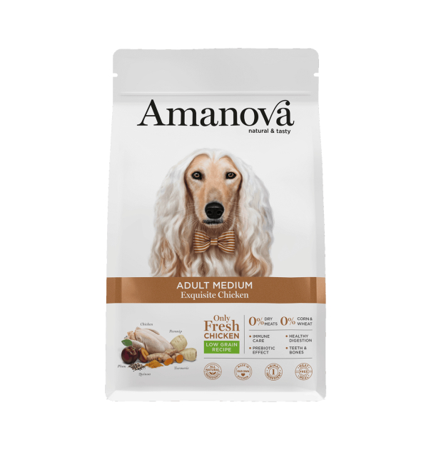 Amanova ADULT MEDIUM "EXQUISITE" Hühnchen