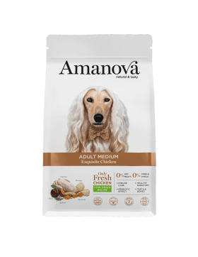 Amanova ADULT MEDIUM "EXQUISITE" Hühnchen