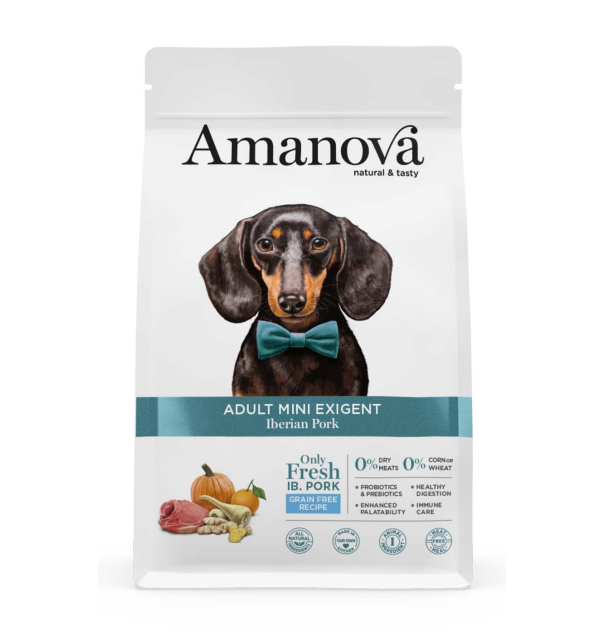 Amanova Adult Mini "Exigent" Iberisches Schwein