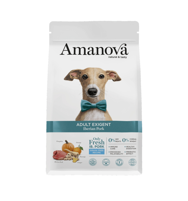 Amanova  "EXIGENT" Iberisches Schwein