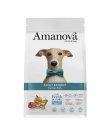 Amanova  "EXIGENT" Iberisches Schwein