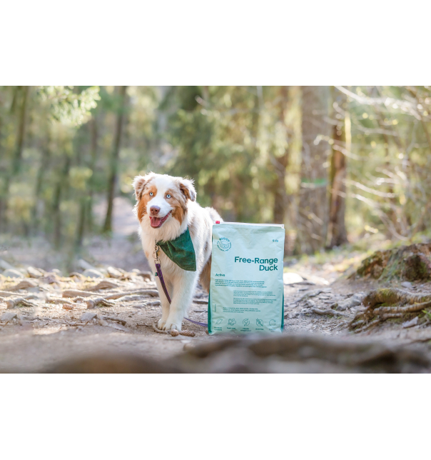BUDDY Free-Range Duck (Freilandhaltung)