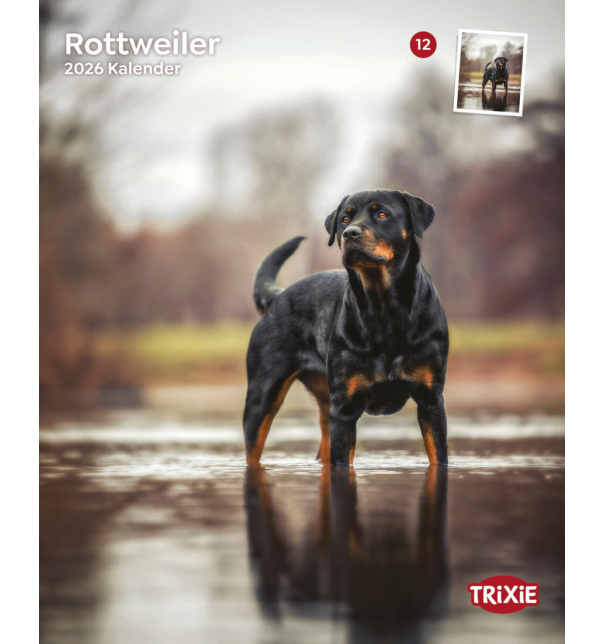 Trixie Kalender  Rottweiler 2026