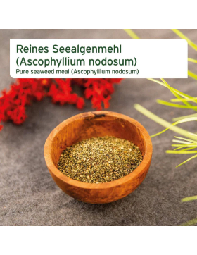 Aniforte Seealgenmehl 250g