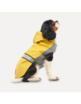 HAC Goo-eez Reflective Hooded Raincoat Gelb/Grau
