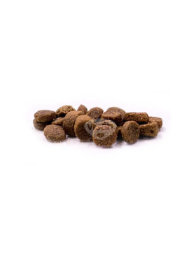 Trovet Adult Hund / MXF