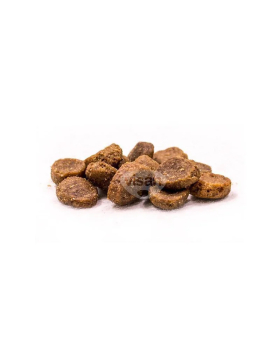 Trovet Intestinal Hund / DPD