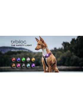 Orbiloc Dog Dual - Sicherheitslicht