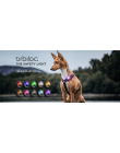 Orbiloc Dog Dual - Sicherheitslicht