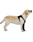 Schutzstrumpf Suitical - Recovery Sleeve Hund schwarz (XS)