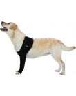 Schutzstrumpf Suitical - Recovery Sleeve Hund schwarz (XXL)