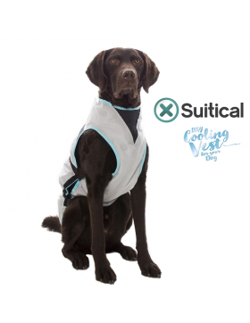 Suitical Kühlweste für Hunde - DRY cooling Vest...
