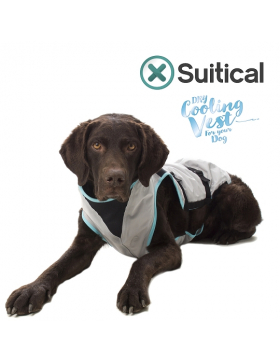 Suitical Kühlweste für Hunde - DRY cooling Vest...