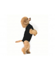 Schutzanzug Suitical - Recovery Suit Hund schwarz (M+)