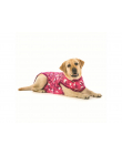 Schutzanzug Suitical - Recovery Suit Hund Camouflage pink (M)